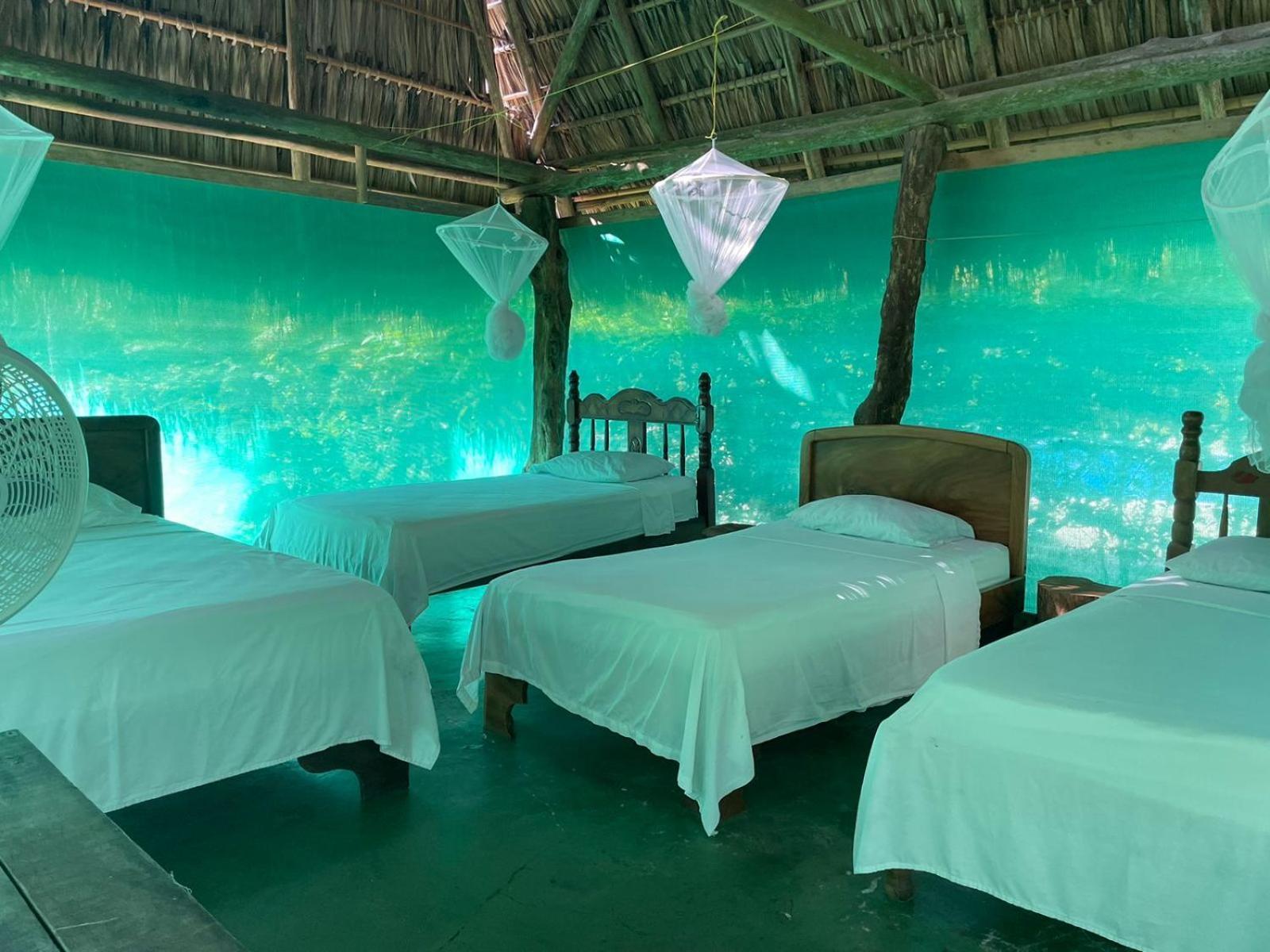 Hotel Mal Pais Surf Camp à Playa Santa Teresa  Extérieur photo