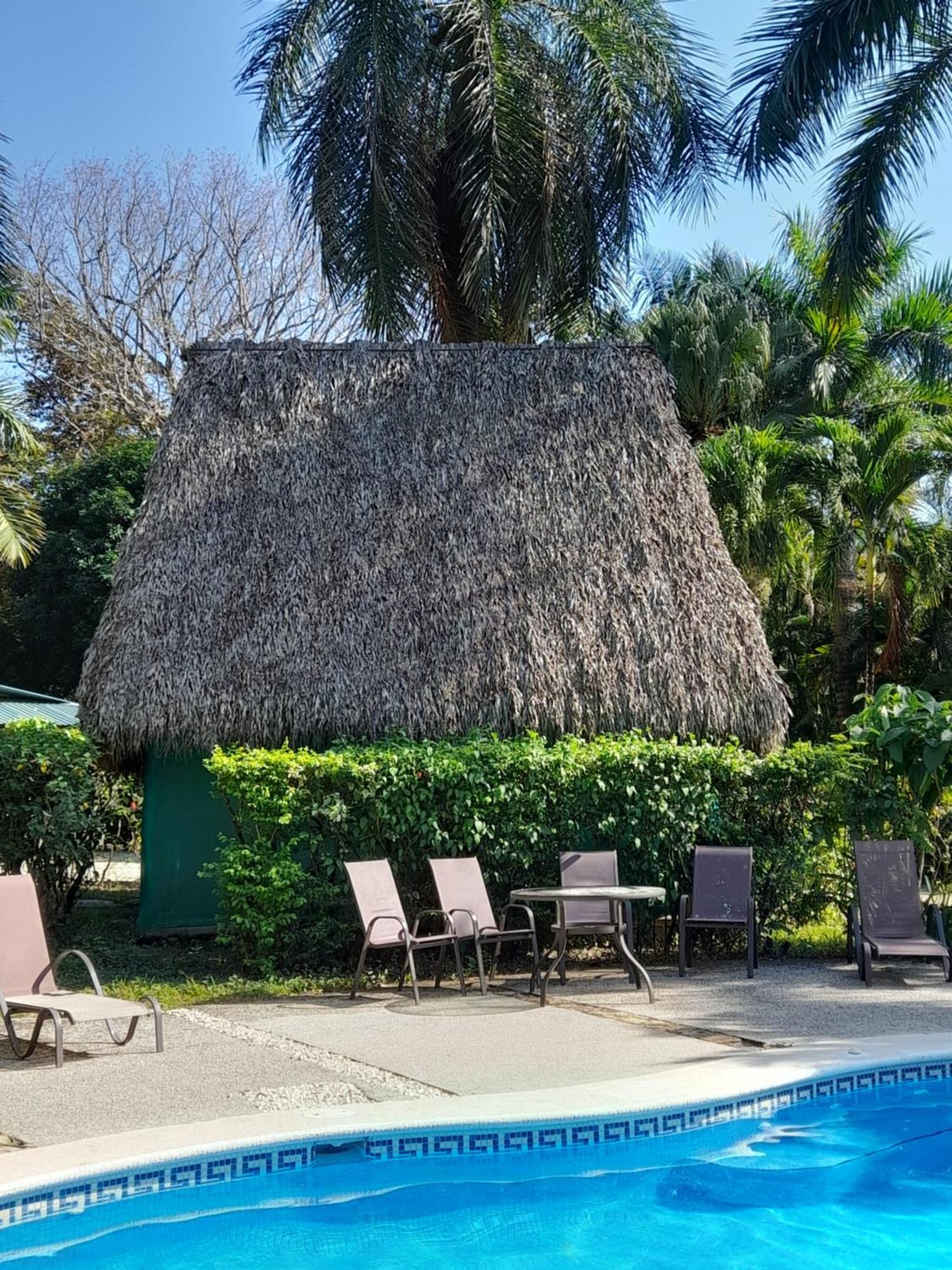 Hotel Mal Pais Surf Camp à Playa Santa Teresa  Extérieur photo