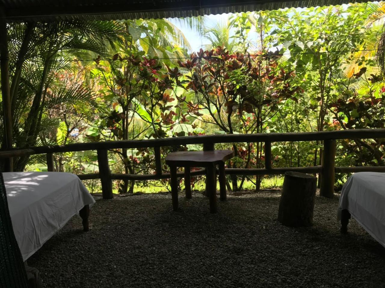 Hotel Mal Pais Surf Camp à Playa Santa Teresa  Extérieur photo
