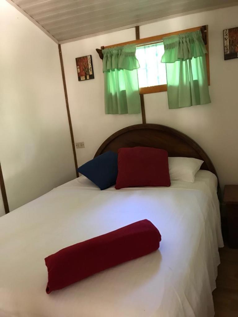 Hotel Mal Pais Surf Camp à Playa Santa Teresa  Extérieur photo