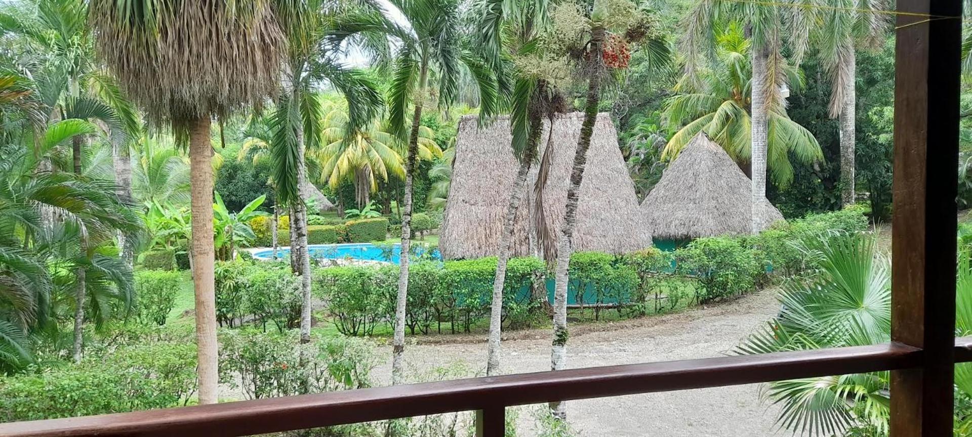 Hotel Mal Pais Surf Camp à Playa Santa Teresa  Extérieur photo