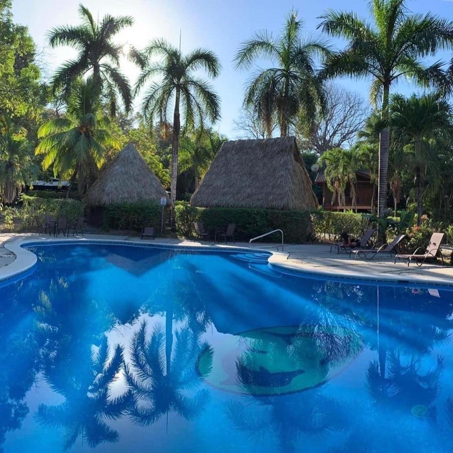 Hotel Mal Pais Surf Camp à Playa Santa Teresa  Extérieur photo