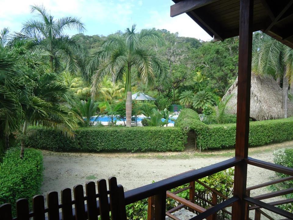 Hotel Mal Pais Surf Camp à Playa Santa Teresa  Extérieur photo