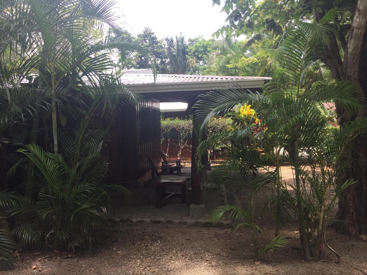 Hotel Mal Pais Surf Camp à Playa Santa Teresa  Extérieur photo